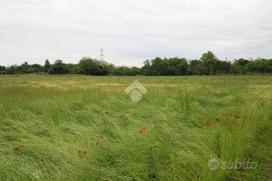 TER. AGRICOLO A CAPONAGO