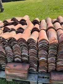 Tegole/coppi