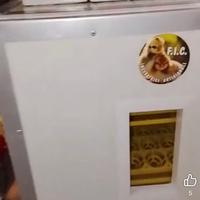 Incubatrice