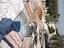 Immagine 6