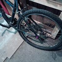 bici rokrider 