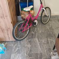Bici bambina