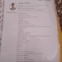 Cameriere, lavapiatti, assistenza anziani