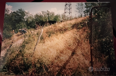 Terreno agricolo e boschivo