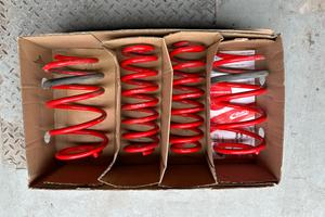 Molle Eibach Golf 8 Leon 4