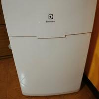 condizionatore portatile electrolux