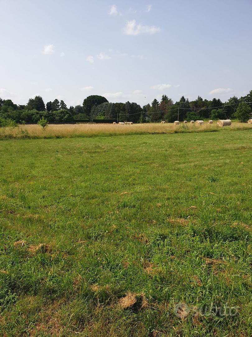 Terreno agricolo 3400mq - Vista 5