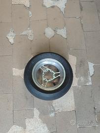 Cerchio posteriore DM MIDI e junior 