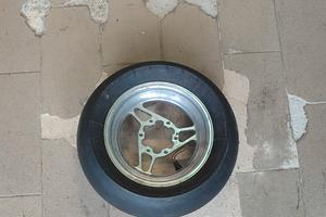 Cerchio posteriore DM MIDI e junior 