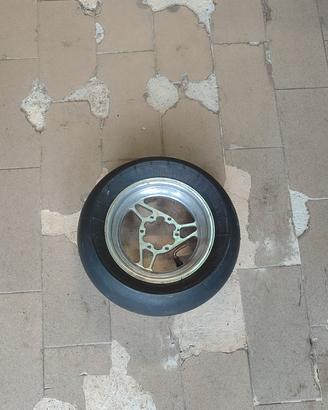 Cerchio posteriore DM MIDI e junior 