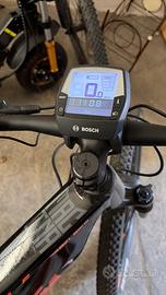 Bicicletta elettrica