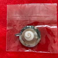 Cindolo di conchiglia nuovo in madreperla