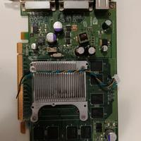 Scheda video Nvidia Quadro FX370 256MB