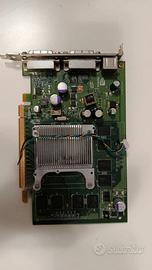 Scheda video Nvidia Quadro FX370 256MB