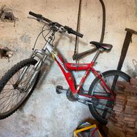 Biciclette taglia s/m