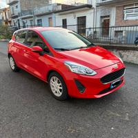 Ford fiesta 5 porte benzina