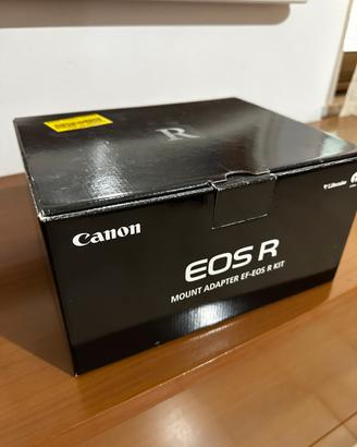 Canon EOS R mirrorles 6200 scatti