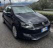 volkswagen-polo-1-6-tdi-dpf-5-porte-comf-bluemoti