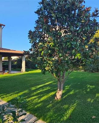 VILLA BIFAMILIARE CON AMPIO GIARDINO ESCLUSIVO