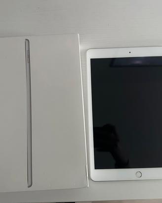 Apple Ipad