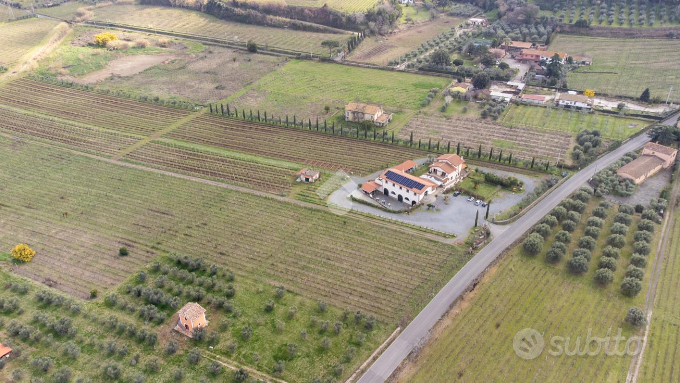 TER. AGRICOLO A FRASCATI - Vista 5