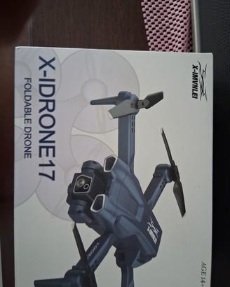 X-IDRONE17
