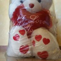 Orsacchiotto Peluches Gigante