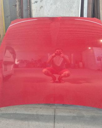 Cofano Doblo'