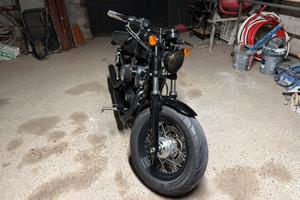 Harley Davidson 1200 sportster forty-eight