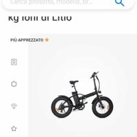 Bici elettrica 