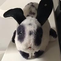 Coniglio Steiff