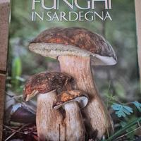 Funghi in Sardegna 