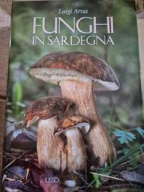 Funghi in Sardegna 