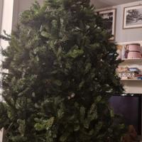 Albero di Natale da interno ed esterno alto 2,70 