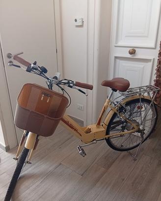 bicicletta elettrica pedalata assistita 