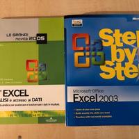 Libri di MS Excel (singoli o in coppia)