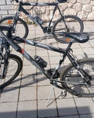 Biciclette  Mountain Bike  Kodiak Trubbiani