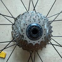 Pacco pignoni 14/28 11v