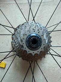 Pacco pignoni 14/28 11v