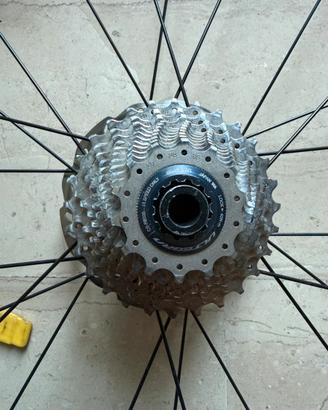 Pacco pignoni 14/28 11v
