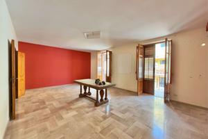ampio appartamento con terrazzo