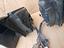 Immagine 8