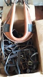        finimenti per cavalli 