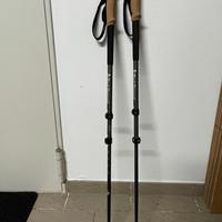 Bastoncini alpinismo Black Diamomd Alpine Carbon
