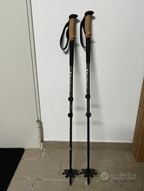 Bastoncini alpinismo Black Diamomd Alpine Carbon