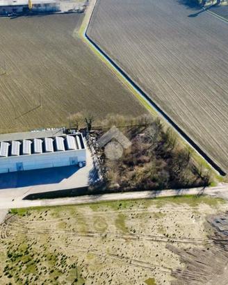 TERRENO A MONTICELLI D'ONGINA