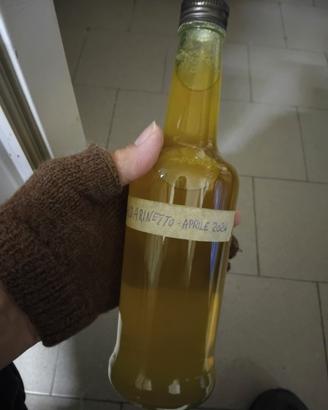 liquore al mandarino 