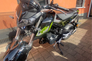 Benelli tnt