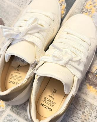 scarpine geox