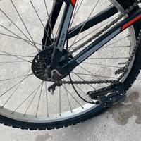 In bicicletta